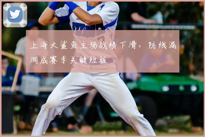 上海大鲨鱼主场战绩下滑，防线漏洞成赛季关键短板