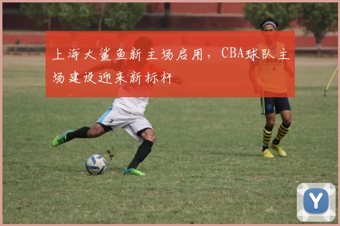 上海大鲨鱼新主场启用，CBA球队主场建设迎来新标杆