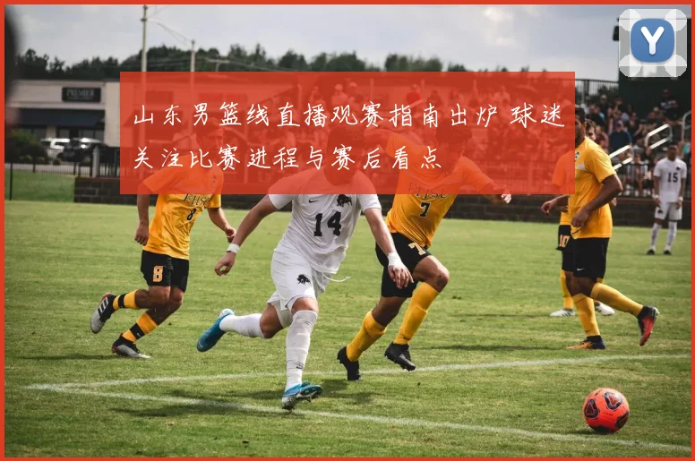 山东男篮线直播观赛指南出炉 球迷关注比赛进程与赛后看点