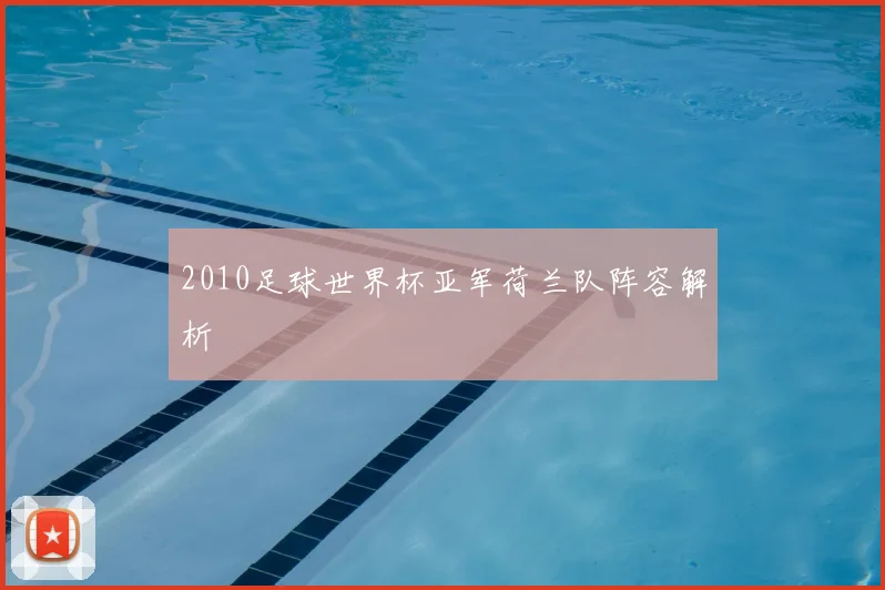 2010足球世界杯亚军荷兰队阵容解析