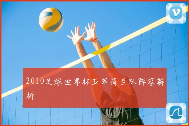2010足球世界杯亚军荷兰队阵容解析